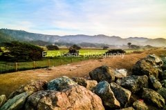 RockWayBlvd
